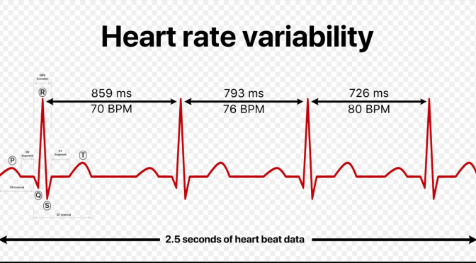 Researchers in Oslo, Norway, Explore the Relationship Between Heart Rate Variability (HRV) and Pain